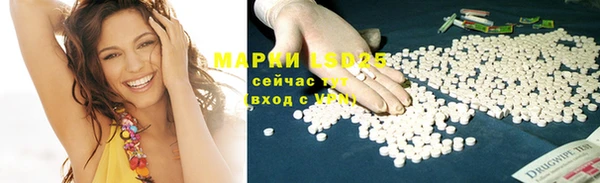мдпв Бородино
