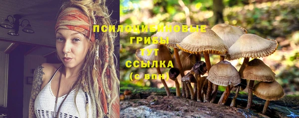 марихуана Богородицк