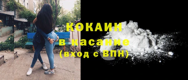 индика Бронницы